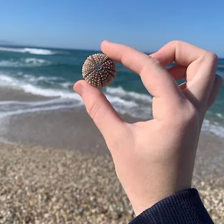 Apartament Khroma Luxury 4 Front *